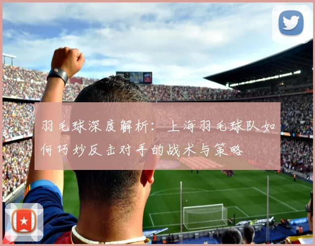 羽毛球深度解析：上海羽毛球队如何巧妙反击对手的战术与策略