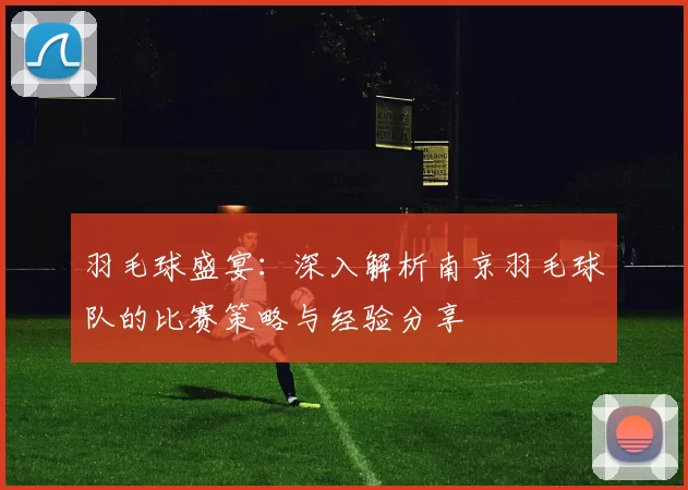 羽毛球盛宴：深入解析南京羽毛球队的比赛策略与经验分享
