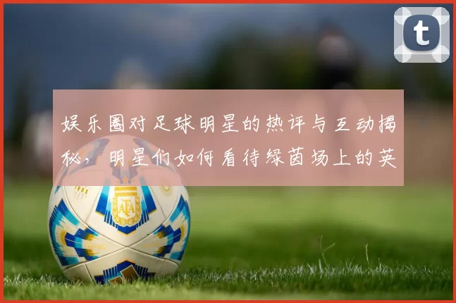 娱乐圈对足球明星的热评与互动揭秘，明星们如何看待绿茵场上的英雄们
