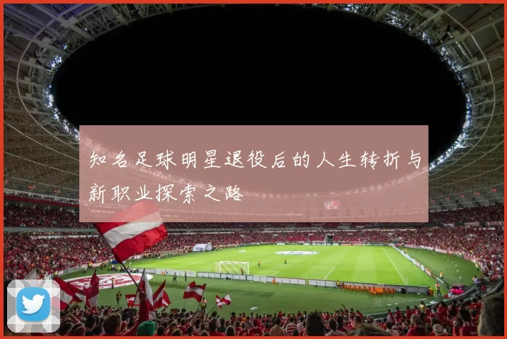 知名足球明星退役后的人生转折与新职业探索之路