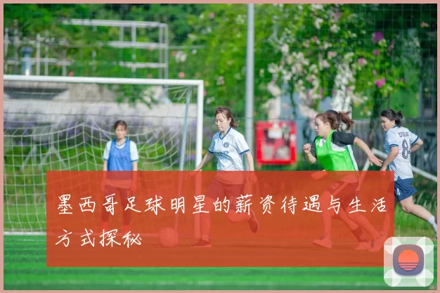 墨西哥足球明星的薪资待遇与生活方式探秘