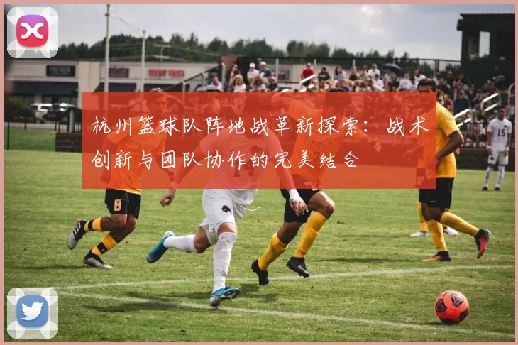 杭州篮球队阵地战革新探索：战术创新与团队协作的完美结合