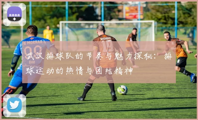 武汉排球队的节奏与魅力探秘：排球运动的热情与团结精神
