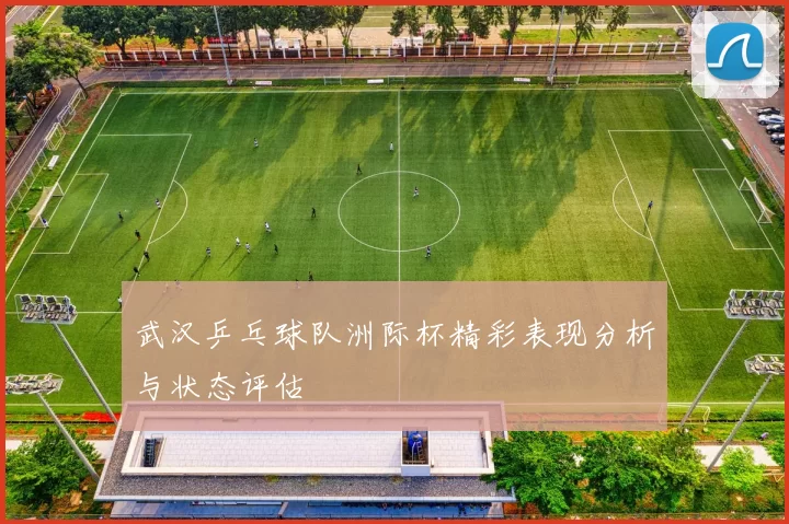 武汉乒乓球队洲际杯精彩表现分析与状态评估