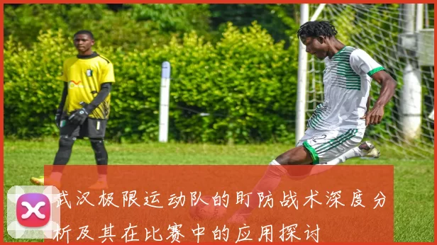 武汉极限运动队的盯防战术深度分析及其在比赛中的应用探讨