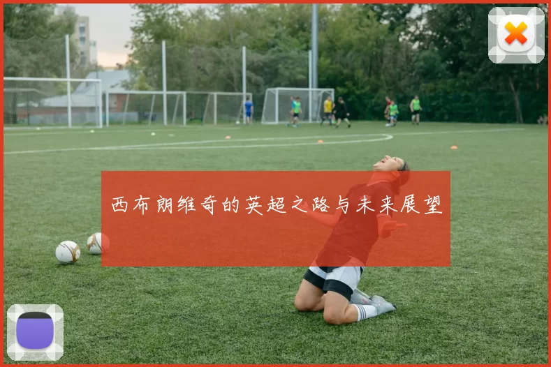 西布朗维奇的英超之路与未来展望