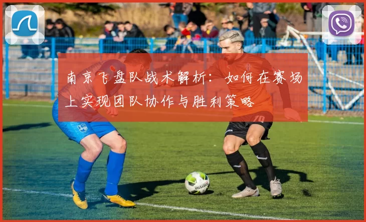 南京飞盘队战术解析：如何在赛场上实现团队协作与胜利策略