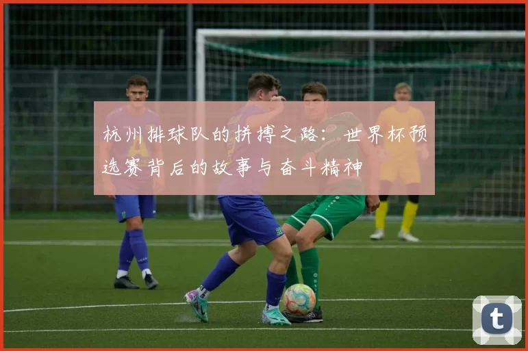 杭州排球队的拼搏之路：世界杯预选赛背后的故事与奋斗精神