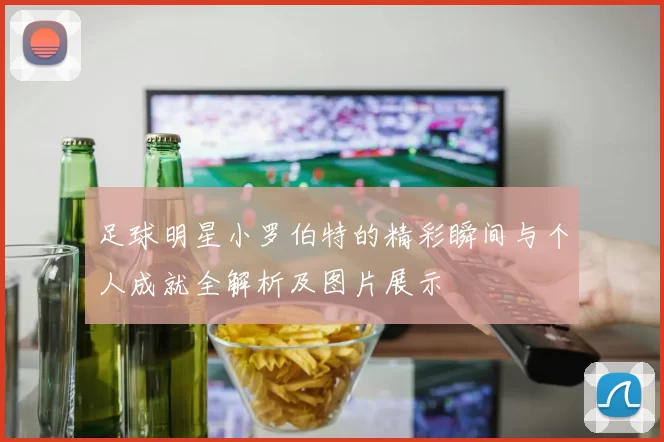足球明星小罗伯特的精彩瞬间与个人成就全解析及图片展示