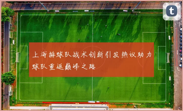 上海排球队战术创新引发热议助力球队重返巅峰之路