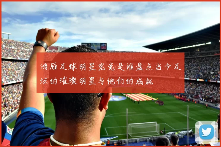 鸿雁足球明星究竟是谁盘点当今足坛的璀璨明星与他们的成就