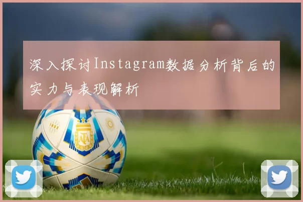 深入探讨Instagram数据分析背后的实力与表现解析