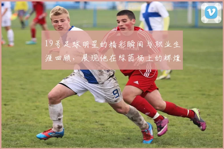 19号足球明星的精彩瞬间与职业生涯回顾，展现他在绿茵场上的辉煌成就与个人魅力