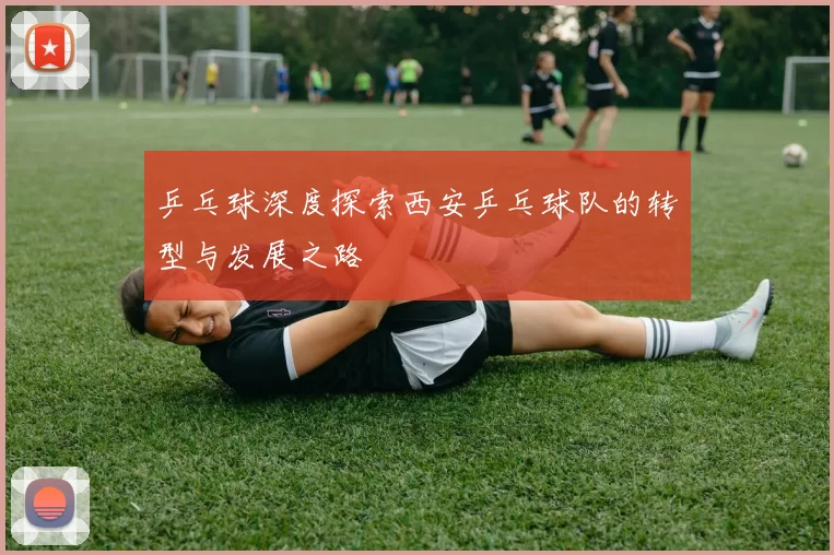 乒乓球深度探索西安乒乓球队的转型与发展之路