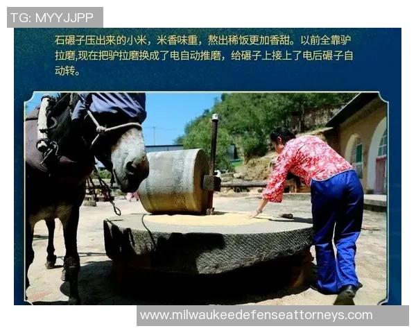 大米的多重价值：从传统粮食到现代健康饮食的全方位探索